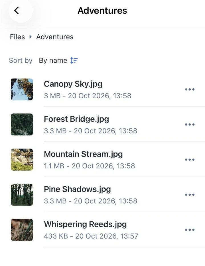 Folder contents with photo previews